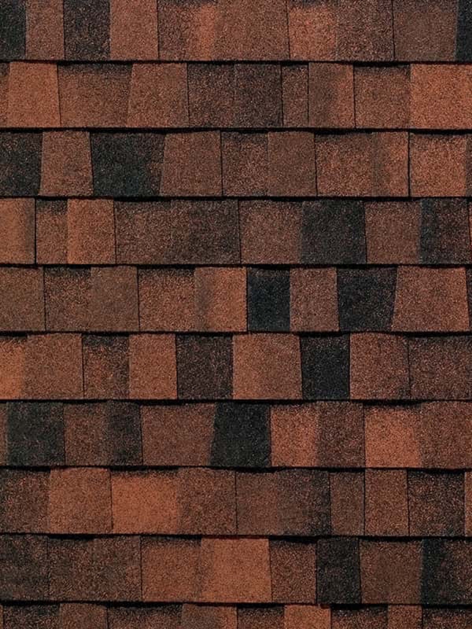 Autumn Brown