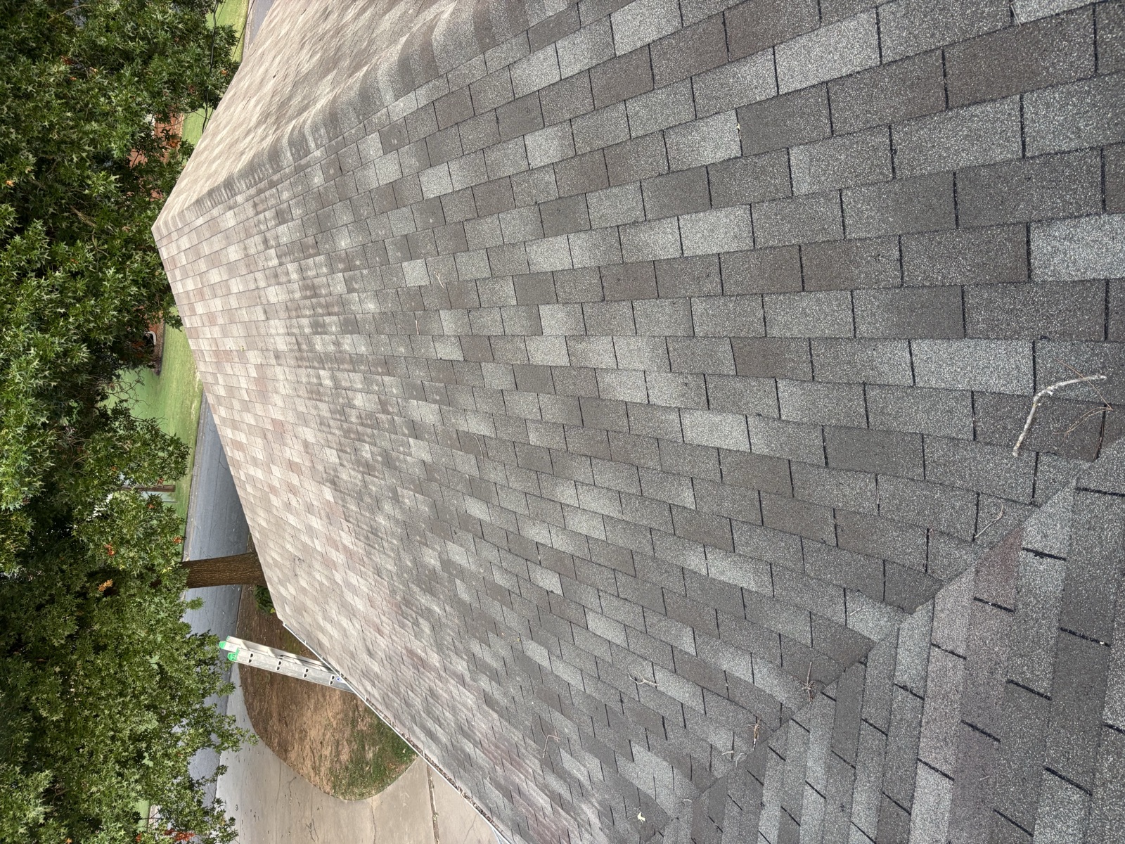 Recent project